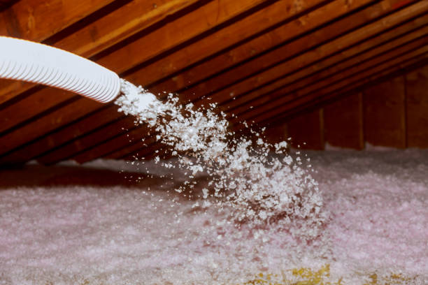 Best Home Insulation Services  in Mascot, TN