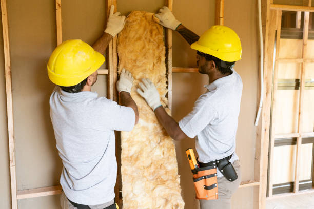 Professional Insulation Contractor in Mascot, TN